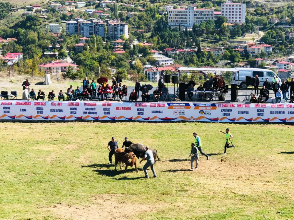 Ardanuç’ta Arena Boğa Güreşleri Festivali Coşkuyla Gerçekleşti