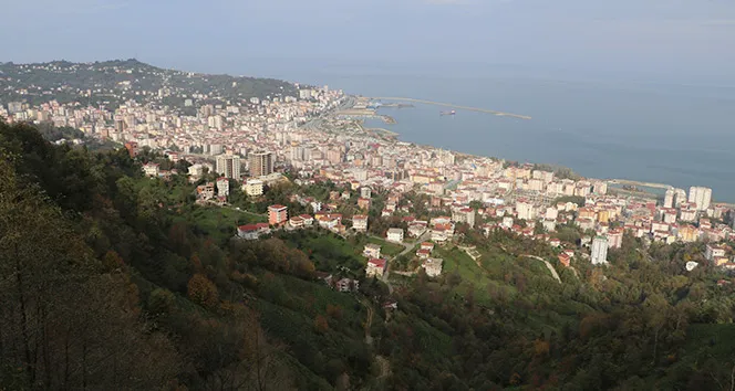 Ülkede Artıyor Rize
