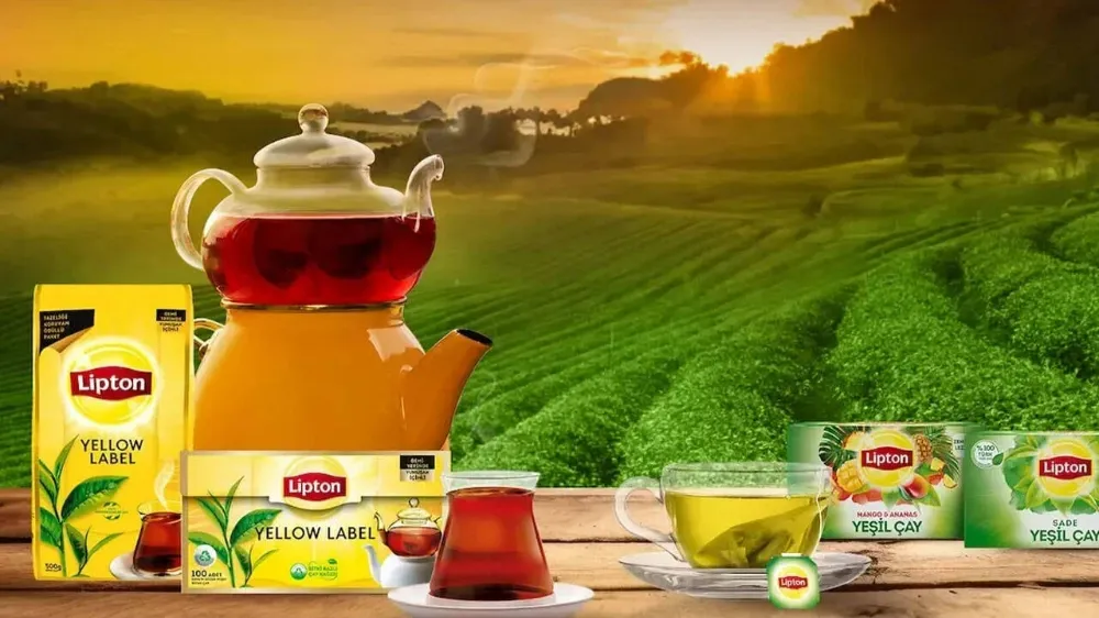 Lipton, Türkiye