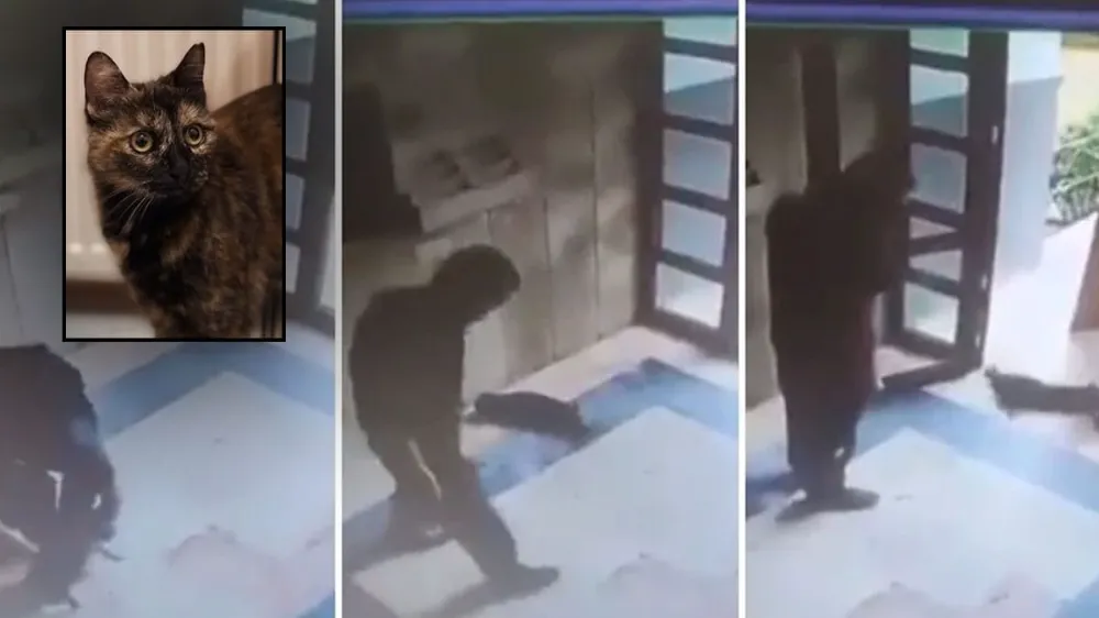 Cezve Cinayetine Ağır Ceza Fail Üst Sınırdan Hüküm Giydi