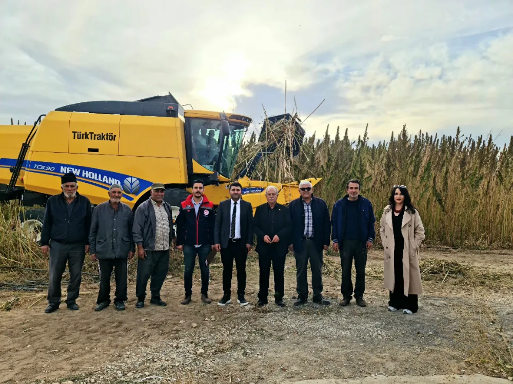 Kulu’da endüstriyel kenevirin hasadı başladı