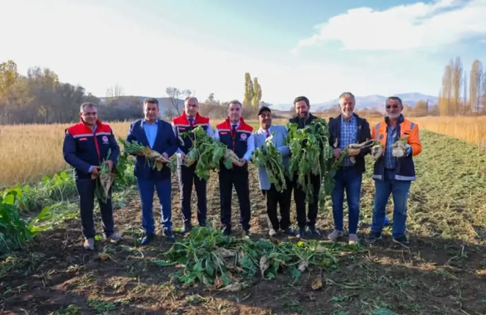 Bayburt’ta Şeker Pancarı Hasadı Başladı