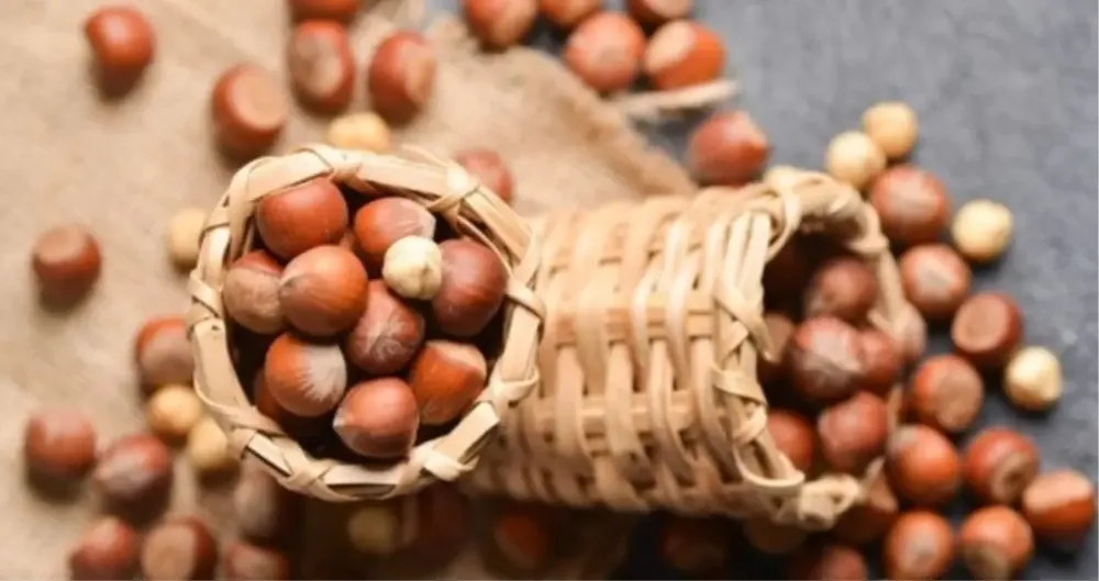 Bugün Fındık Fiyatları Kaç TL Oldu? Çeşitlere Göre Güncel Kilo Fiyatı Açıklandı