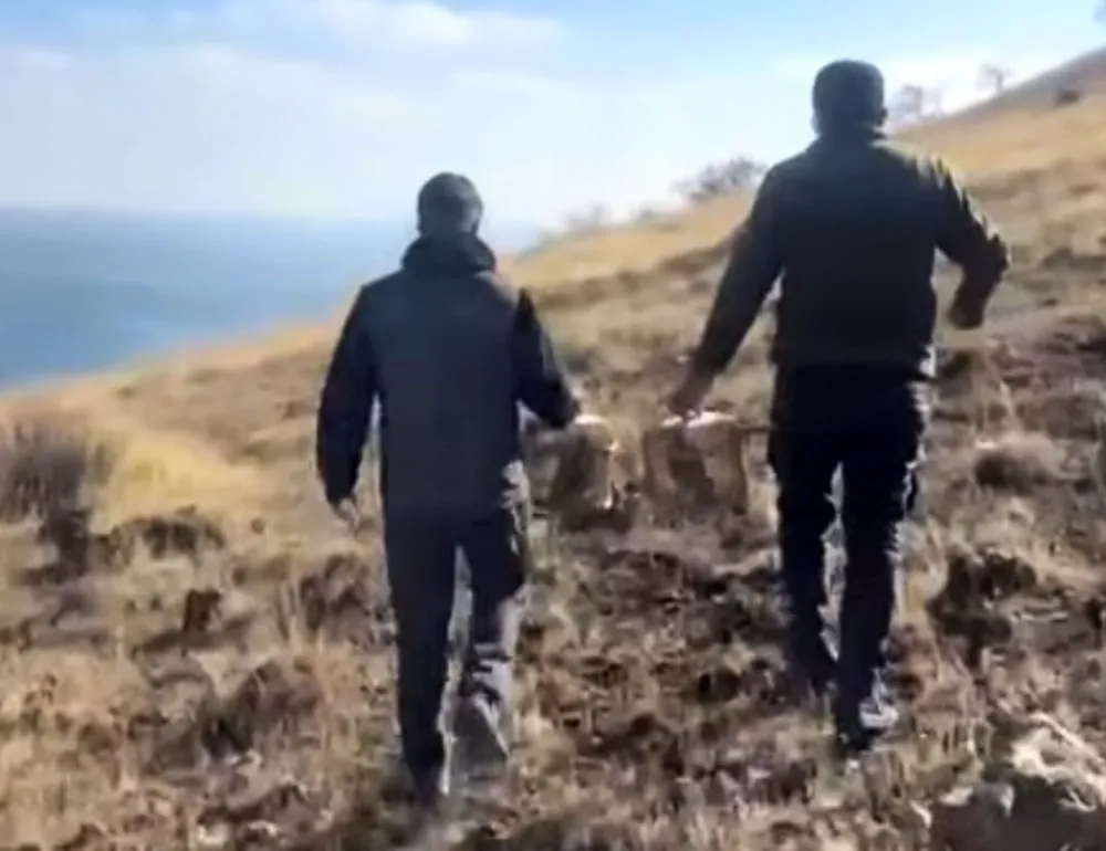 Rehabilite edilen keklikler yeniden doğayla buluştu