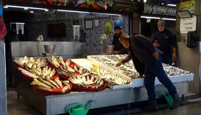 Palamutta Umutlar Seneye Kaldı: Balıkçılar Bu Sezonu “Boş” Geçti