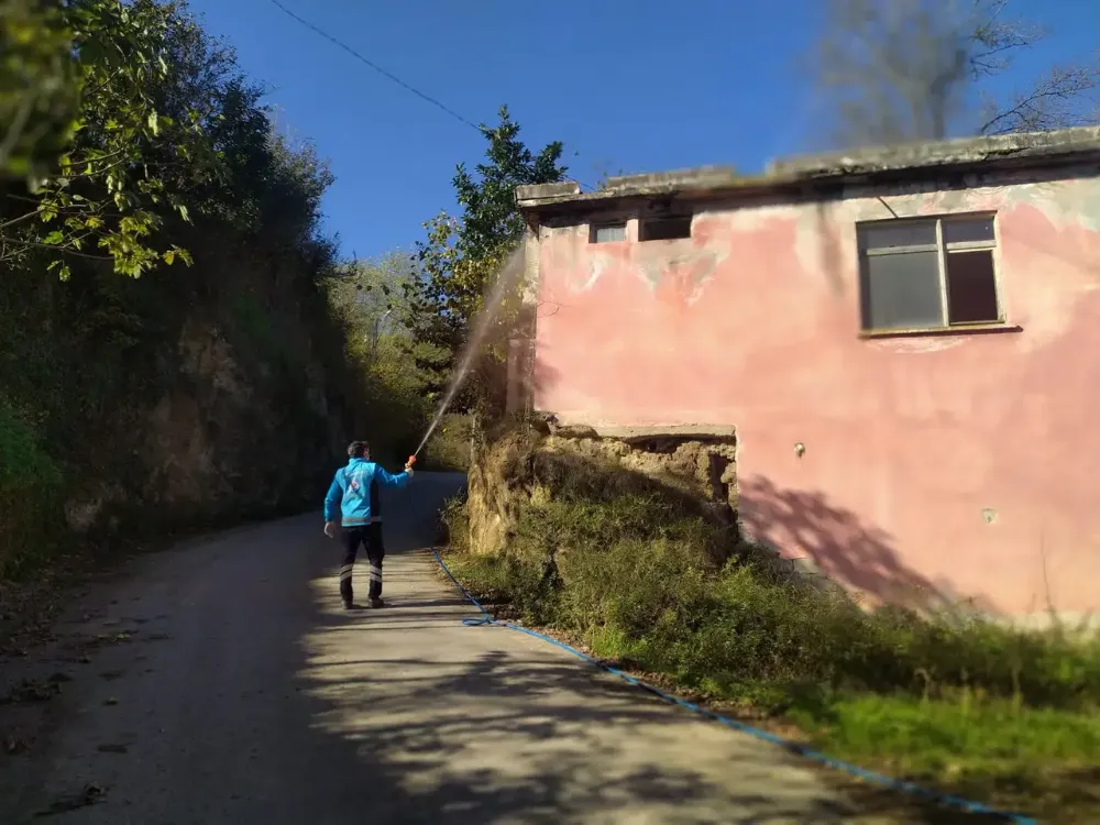 Trabzon’da Kahverengi Kokarca ile Mücadele Sürüyor