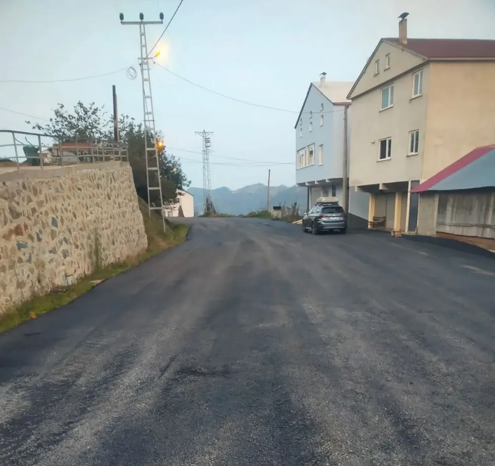 Geyikli Mahallesi’nde Asfalt Çalışmaları Başladı