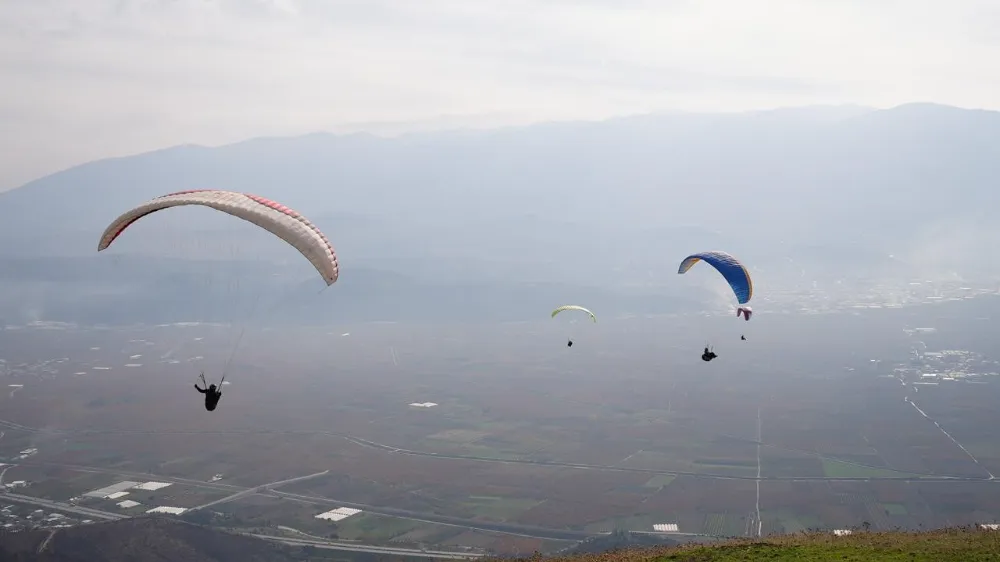 Yanan ormanlar için gökyüzünden paraşütle tohum yağdı