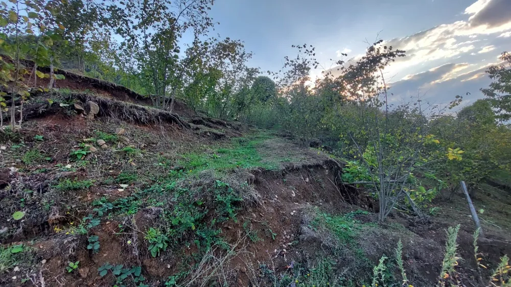 Araziler parçalandı, evler yamuldu: Taş ocağı mahalleyi yok etmeye başladı