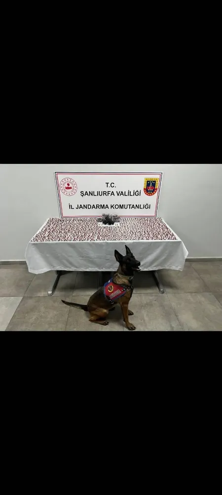 Şanlıurfa’da uyuşturucu operasyonu: 2 gözaltı