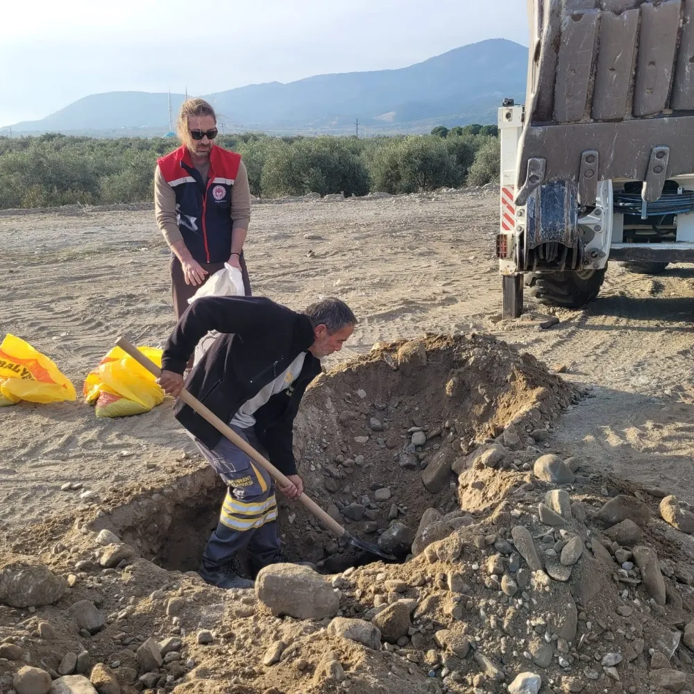 Buharkent’te 2. Etap İlek Bahçesi İçin Toprak Analizi Yapıldı