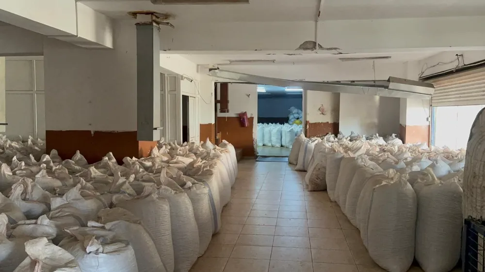 Alaplı’da Fındık Fiyatlarında Durağanlık Sürüyor: Tüccarlar Yükselişi Mart Ayına Bağladı