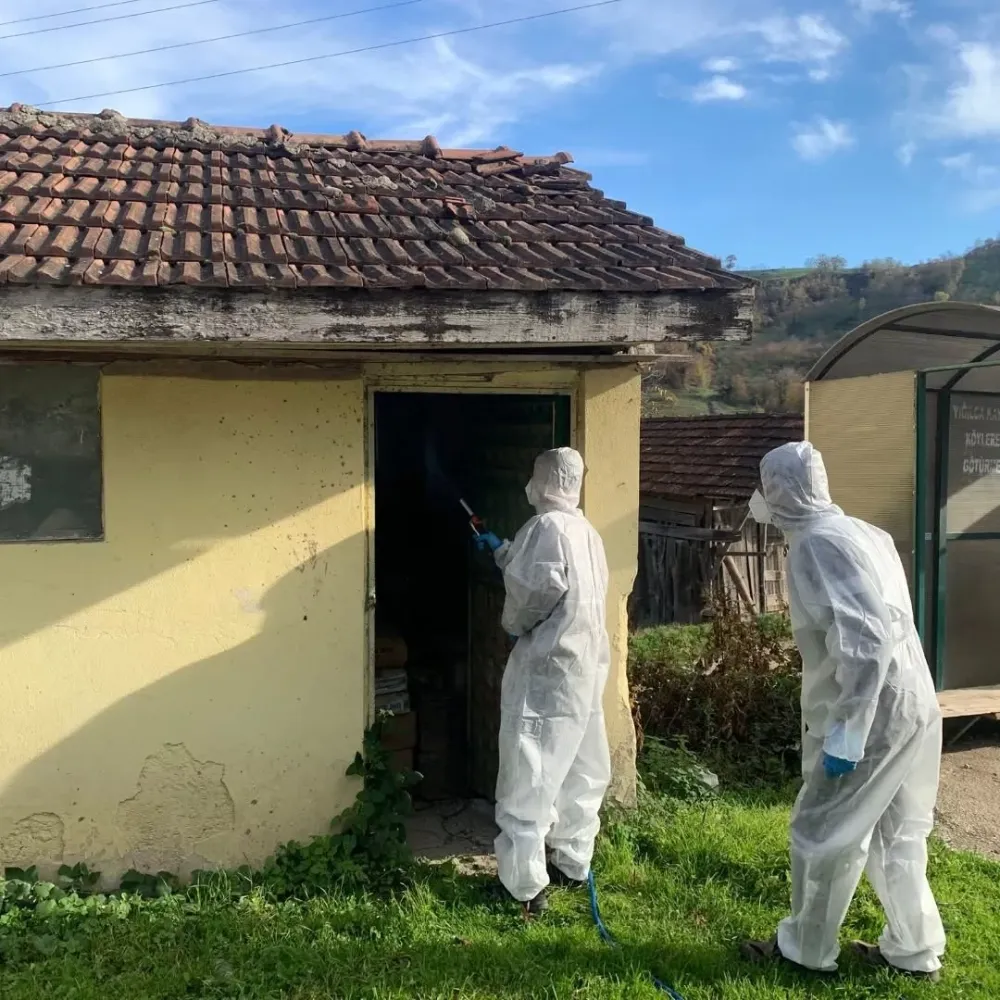 Yığılca’da Kahverengi Kokarca ile Kışlık Mücadele Sürüyor