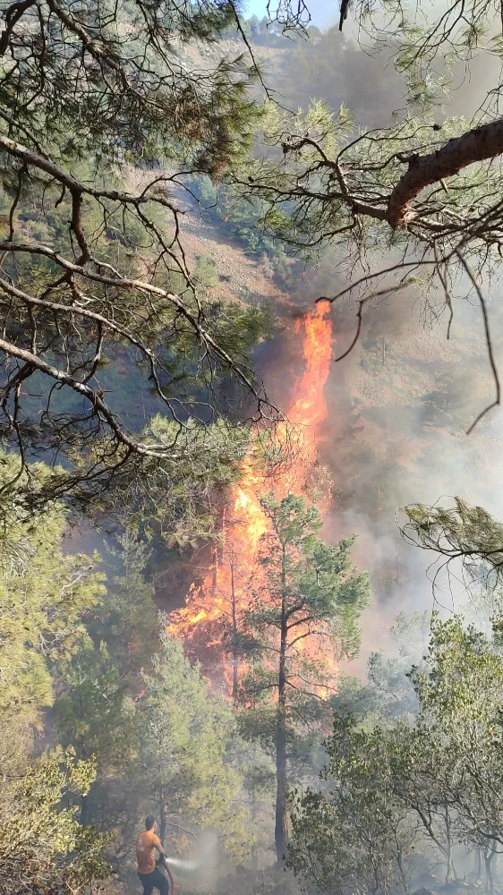 Hatay’ın Belen İlçesinde Orman Yangını