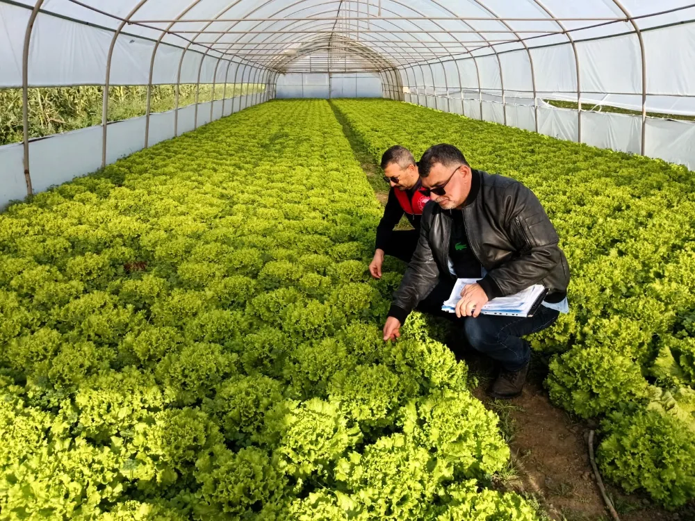 Kırklareli’nde Sera Denetimleri Sürüyor