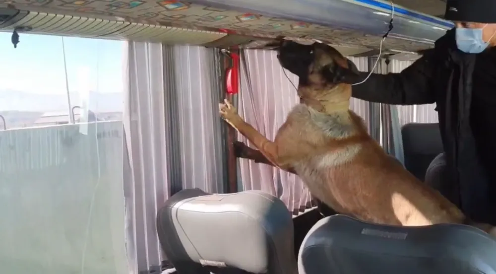 Otobüs bagajında skunk düzeneği: 8 kilo zehir ele geçirildi