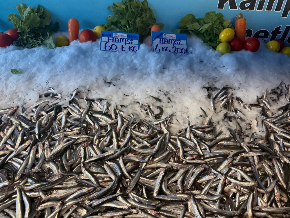Hamsi fiyatı yüzleri güldürdü, kilosu 60 liraya düştü