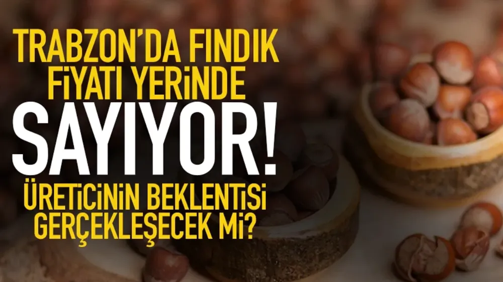 Trabzon’da Fındık Fiyatları Ferrero’nun Alım Politikasıyla Sabitlendi
