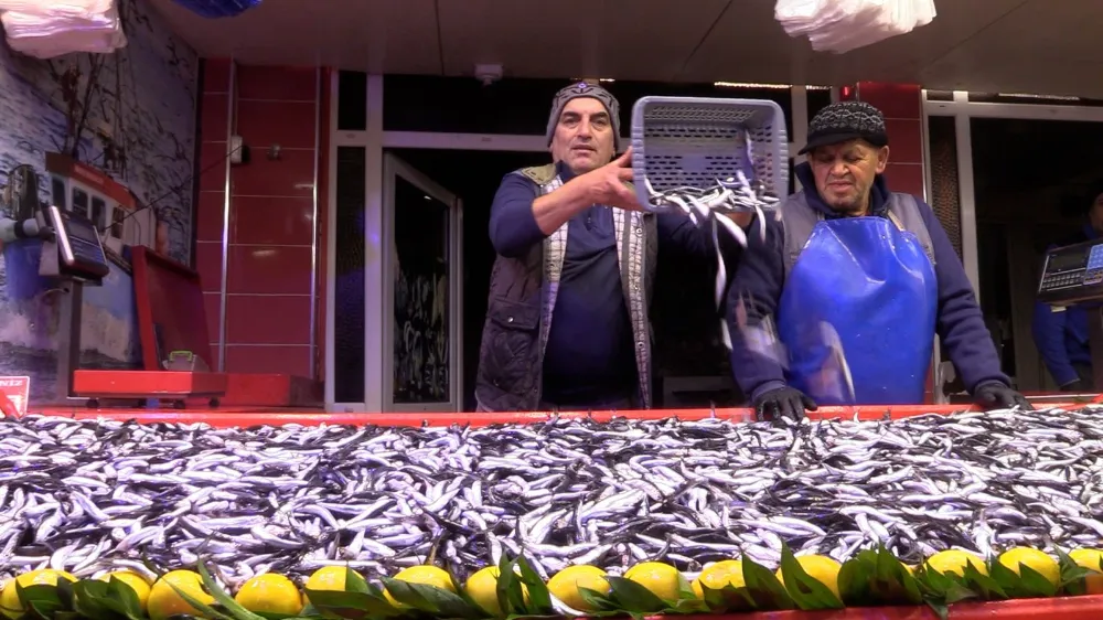 Bolu’da Hamsi Kilosu 150 Liraya Düştü