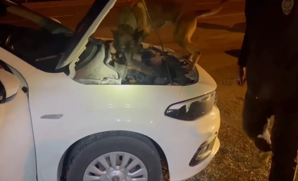 Kastamonu’da uyuşturucu operasyonu: 5 kişi tutuklandı