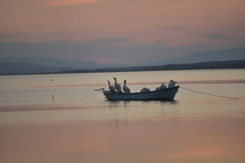 Karacabey’de Çeltik ve İkinci Ürün Ekimi Yasaklandı