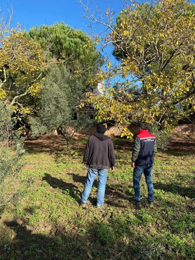 Tekirdağ’da Ceviz Bahçelerinde Hastalık ve Zararlı Kontrolü Yapıldı