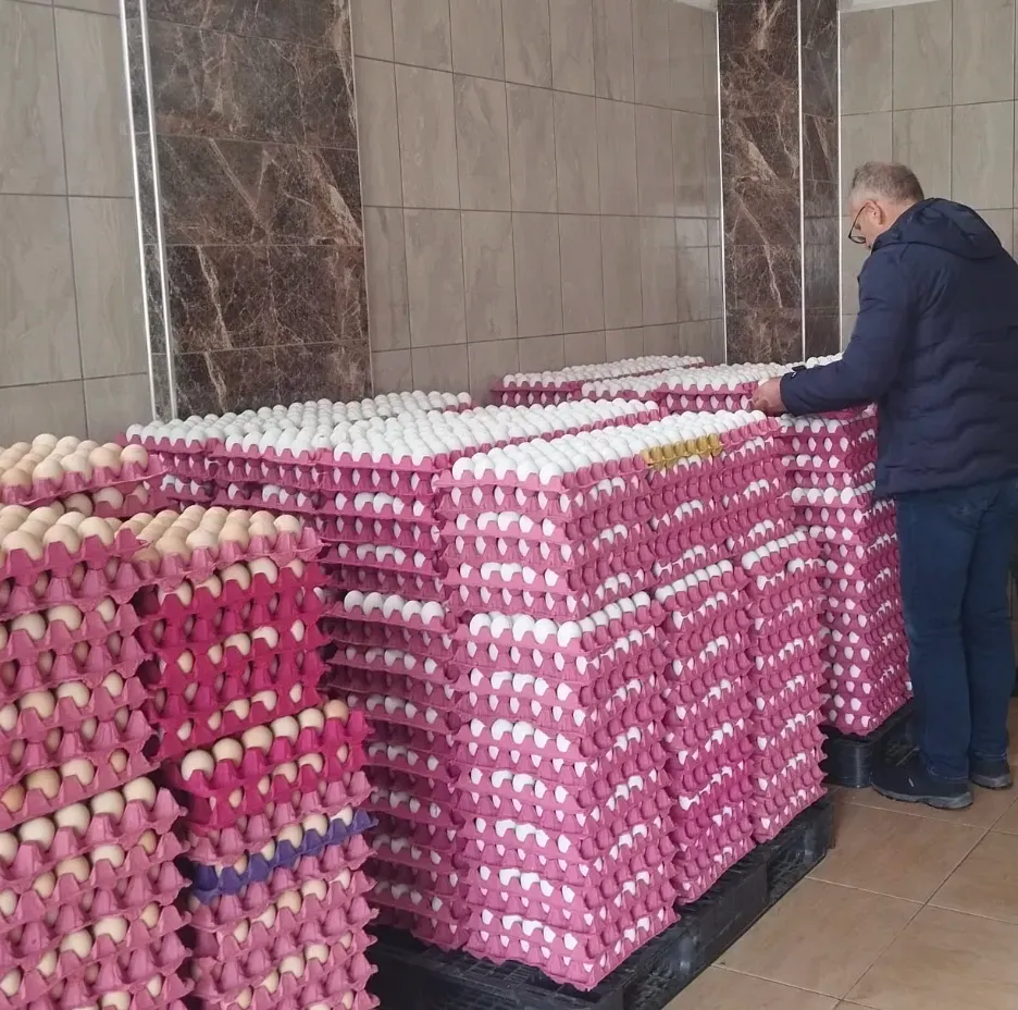 Trabzon’da Yumurta Paketleme İşletmelerine Gıda Güvenliği Denetimi