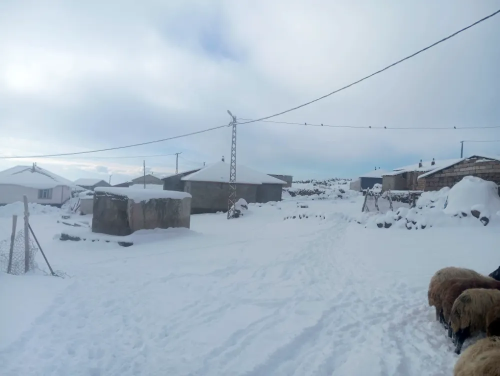 Türkiye’nin en yüksek köyü Kışkılı’da besiciler kara teslim oldu
