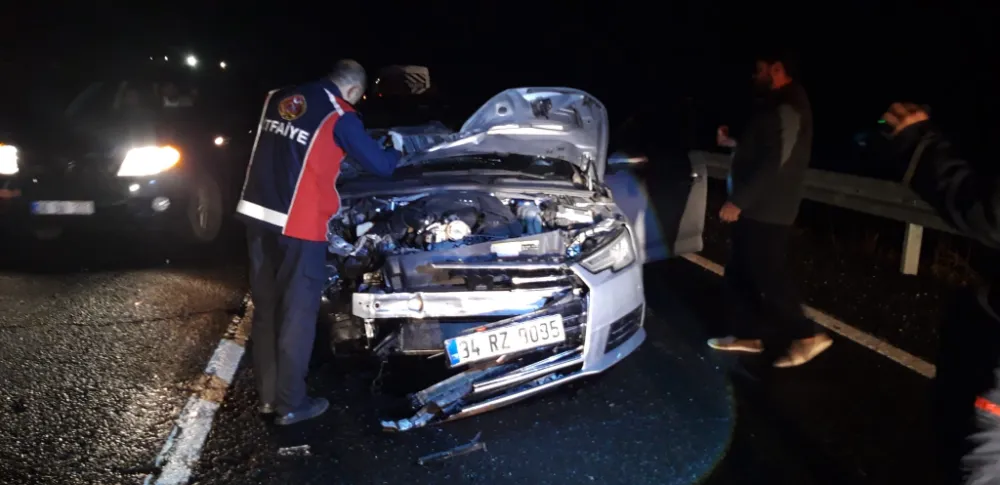 Mardin’de Otomobilin Çarptığı At Telef Oldu