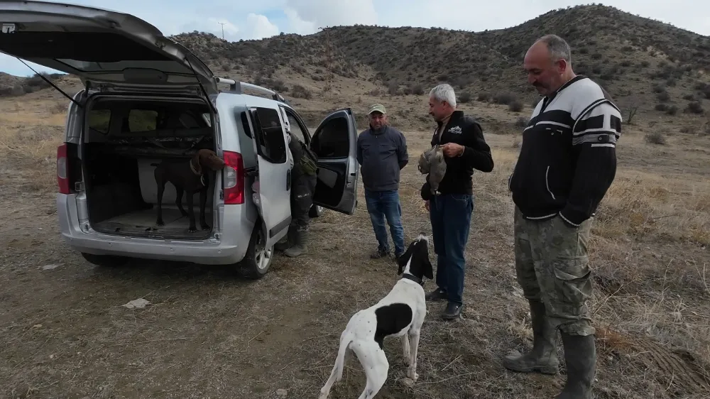 Yozgat’ta Kuraklık Yaban Hayvanlarını Azalttı, Avcıları Zorladı