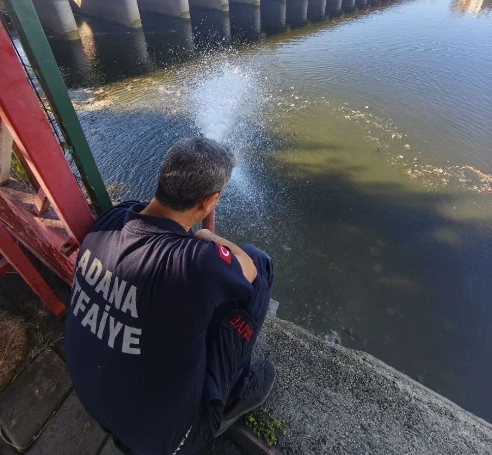 Kuraklık Seyhan Nehri’nde Balık Ölümlerine Yol Açtı