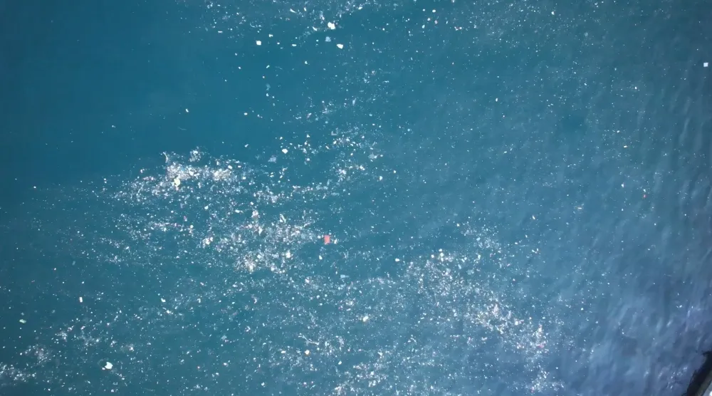 Balat sahilinde deniz kirliliği balıkçılara zor anlar yaşatıyor