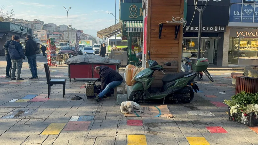 Engelli köpeğe 10 yıldır bebek gibi bakıyor