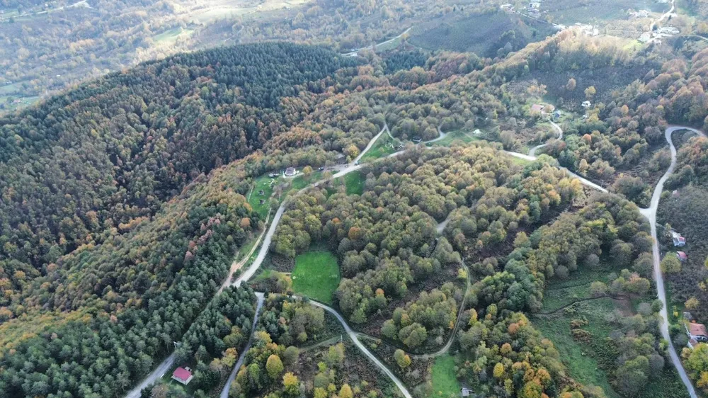 Düzce Ormanları Sonbaharın Büyüsüne Büründü