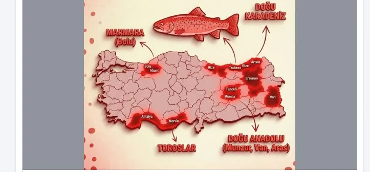 Rize, Kırmızı Benekli Alabalığın Cenneti: Kaçkar Dağları’ndan Fırtına Deresi’ne Doğal Yaşam Alanı