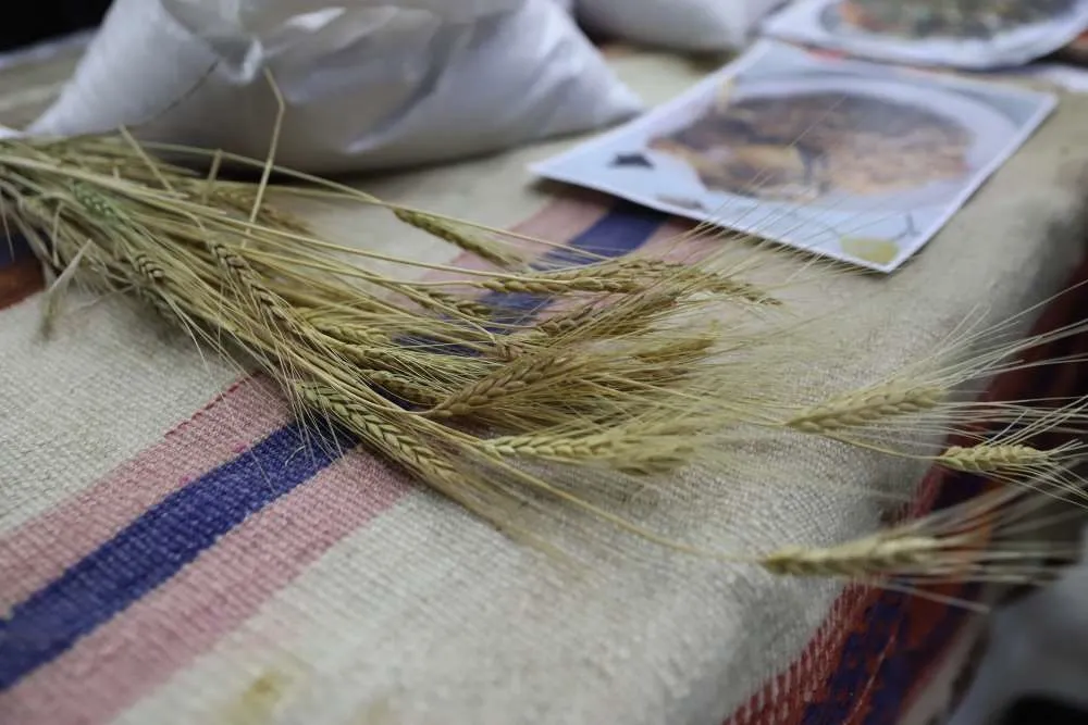 Ardahan Kavılcası’nın değeri vurgulandı: Üniversitede kapsamlı etkinlik düzenlendi