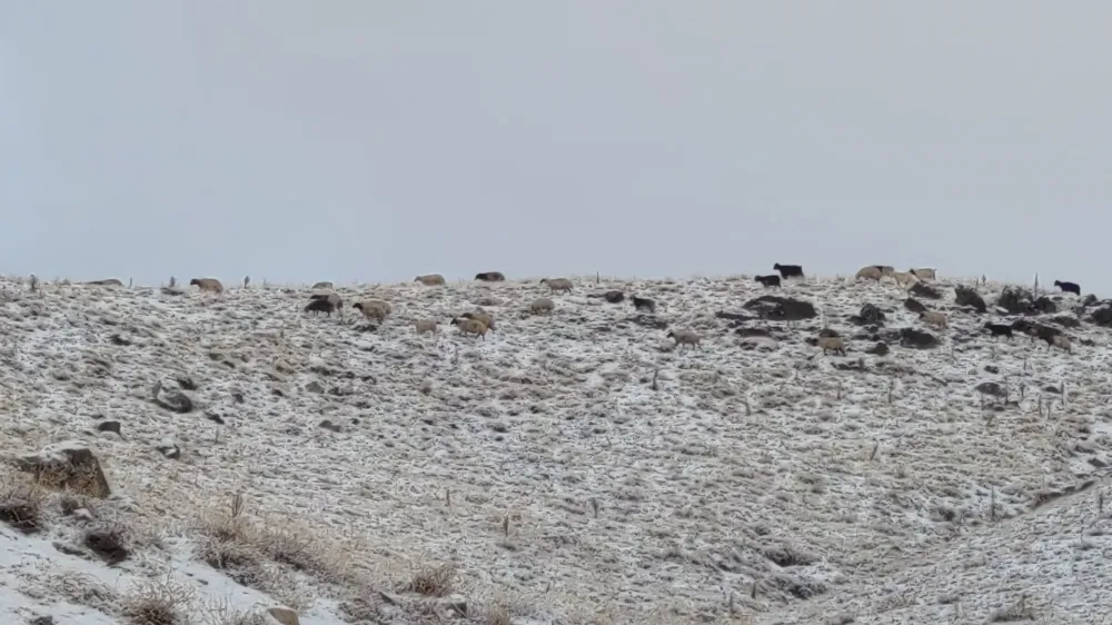 Van’da Erek Dağı beyaza büründü: Kış kendini hissettirdi