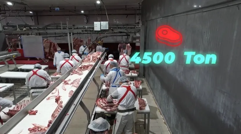 Elazığ’a Dev Et Üretim Hamlesi: Yıllık 4 Bin 500 Ton Kapasiteli Proje Tamamlandı