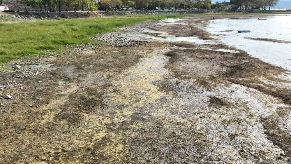İznik Gölü Kuruyor: Cargill’in Yer Altı Suyu Kullanımı Tartışma Yaratıyor