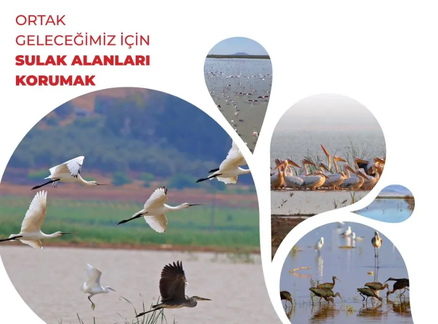 Devlet Su İşleri Genel Müdürü Mehmet Akif BALTA