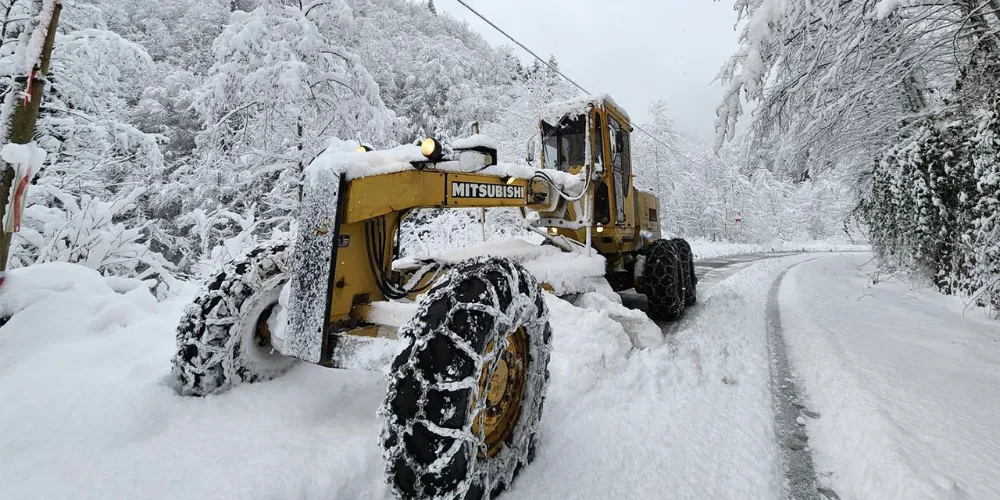 Rize