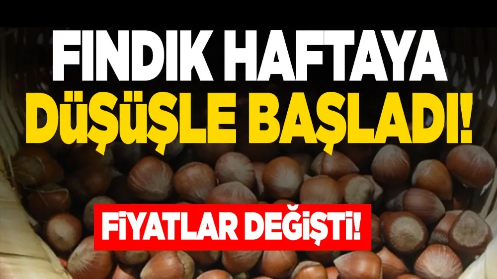 Fındık haftaya düşüşle başladı! Fiyatlar değişti!