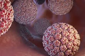 HPV Enfeksiyonu ve Akıntı Genital Siğillerin Belirtileri