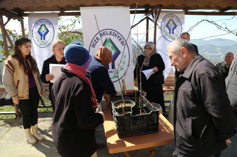 Rize Belediyesinden Vatandaşlara Ücretsiz Fidan Aşılama Eğitimi