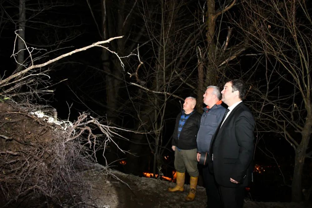 Artvin’de Heyelan Sonucu İki Ev Yıkıldı,Belediye Ekipleri Hızla Müdahale Etti
