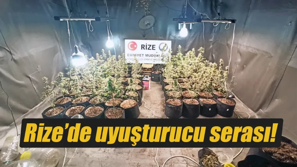 Rize