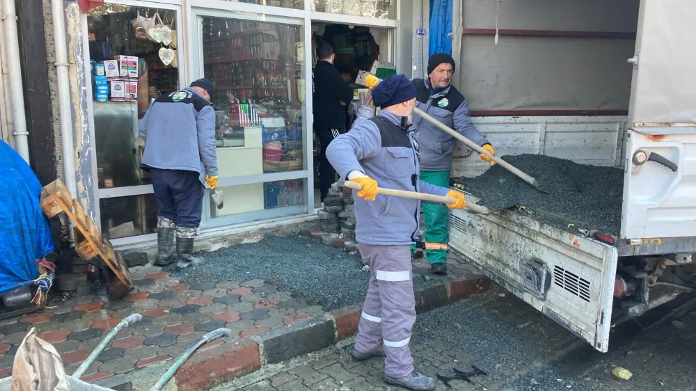 Borçka Belediyesi Ekipleri Sahada: Yaşamın Aksamaması İçin Çalışmalar Tamamlandı