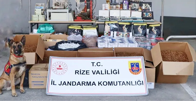 Rize
