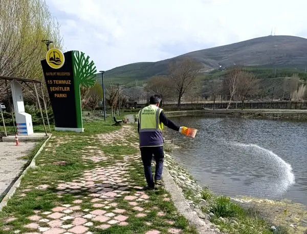 Bayburt Belediyesi, Larvalarla Mücadele Çalışmalarına Başladı