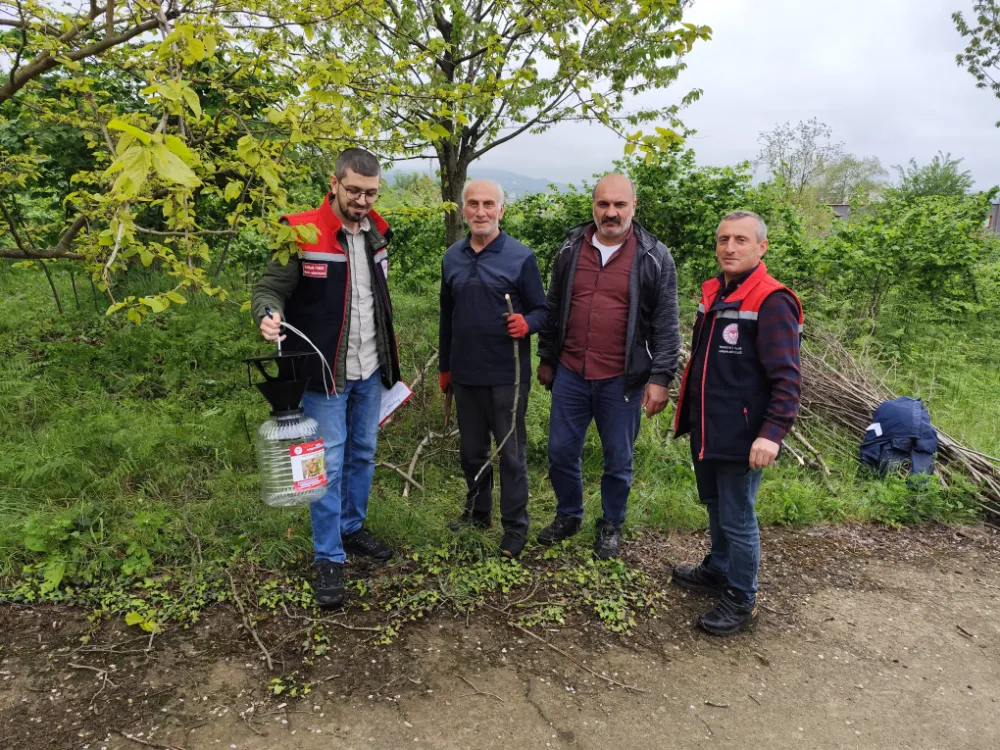 Vakfıkebir’de Kokarca Zararlısına Karşı Mücadele Devam Ediyor